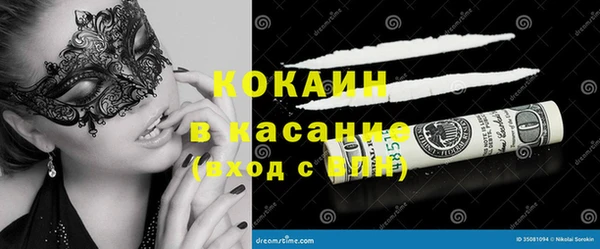 стаф Арсеньев