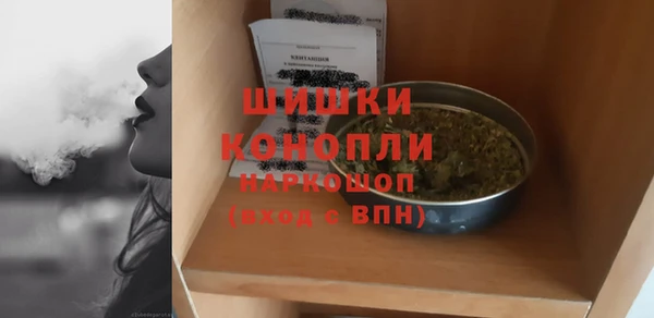 ПСИЛОЦИБИНОВЫЕ ГРИБЫ Аркадак
