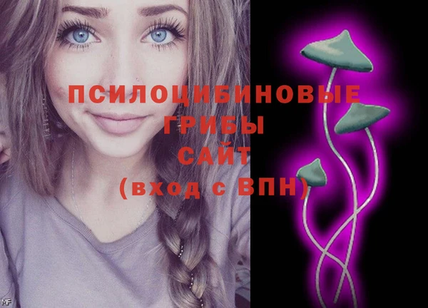 ПСИЛОЦИБИНОВЫЕ ГРИБЫ Аркадак