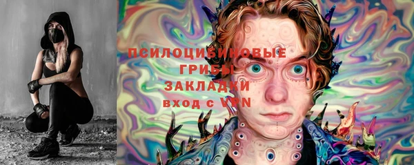 ПСИЛОЦИБИНОВЫЕ ГРИБЫ Аркадак